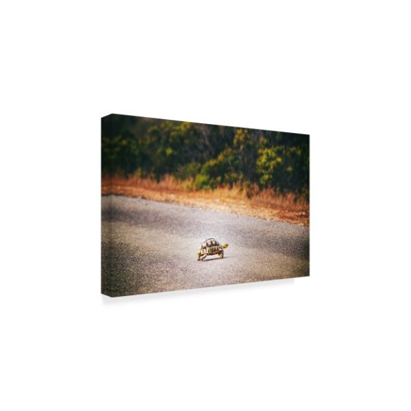 Pixie Pics 'Desert Turtle Crossing' Canvas Art,12x19